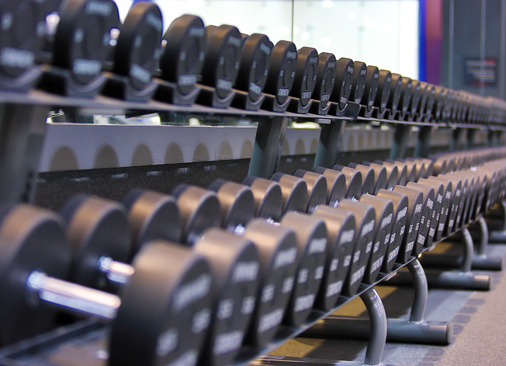 Vasa Fitness Amenities Free Weights