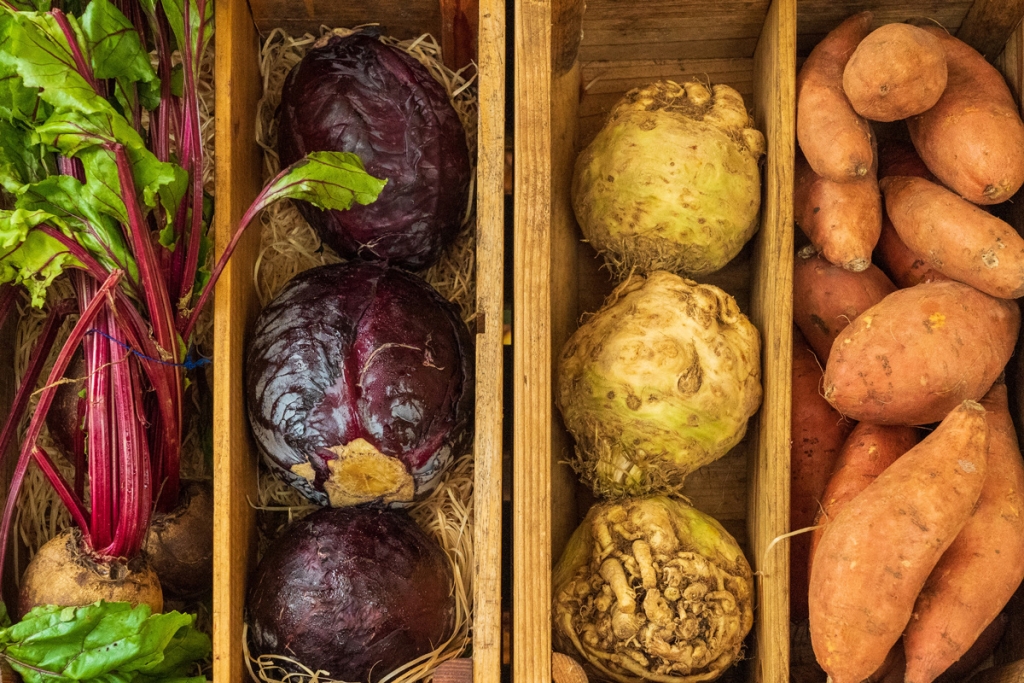 Winter Vegetables: Beets, Cabbage, Yams