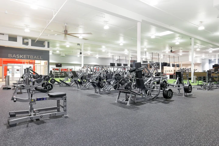 Vasa Post - Train Stronger, Move Better: Hammer Strength & Life Fitness Equipment for Serious Results